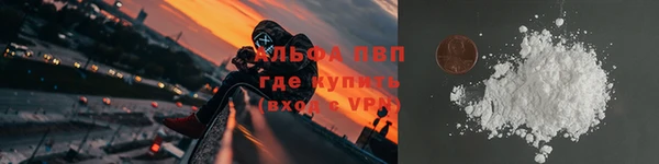 твердый Алзамай