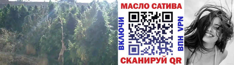 купить закладку  мега как зайти  ТГК гашишное масло  Нововоронеж 